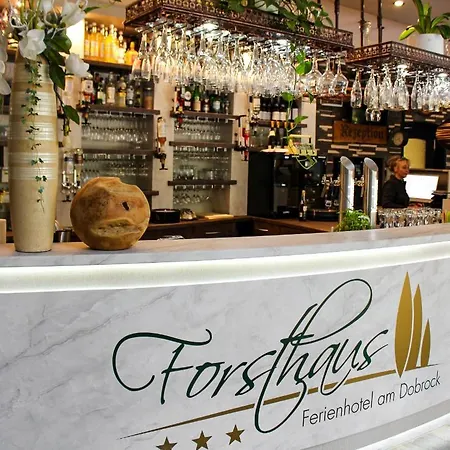 Hotel Forsthaus-ferienhotel Am Dobrock 3*