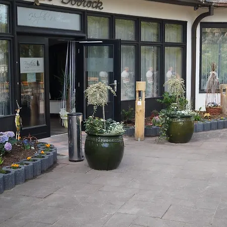 Hotel Forsthaus-ferienhotel Am Dobrock Wingst