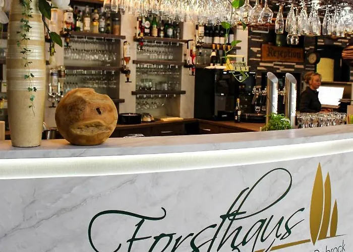 Hotel Forsthaus-ferienhotel Am Dobrock 3*